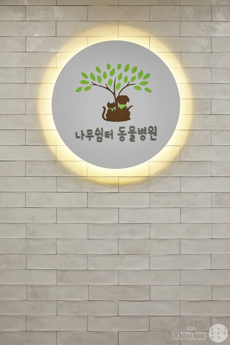 대전나무병원 이미지