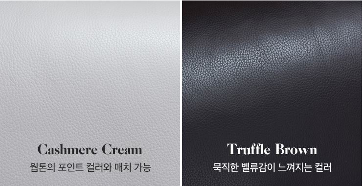 테라모나 이미지
