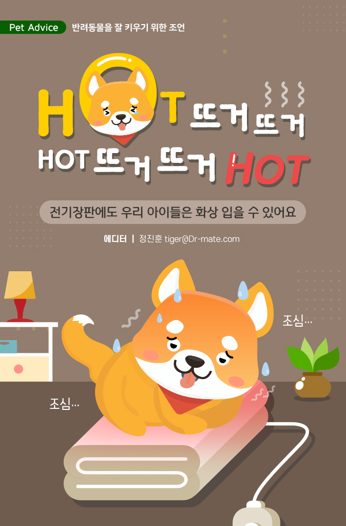 장판24시 이미지