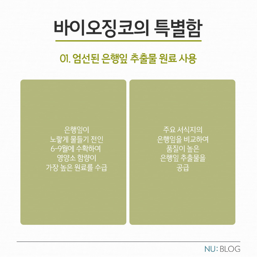 징코바이오 이미지
