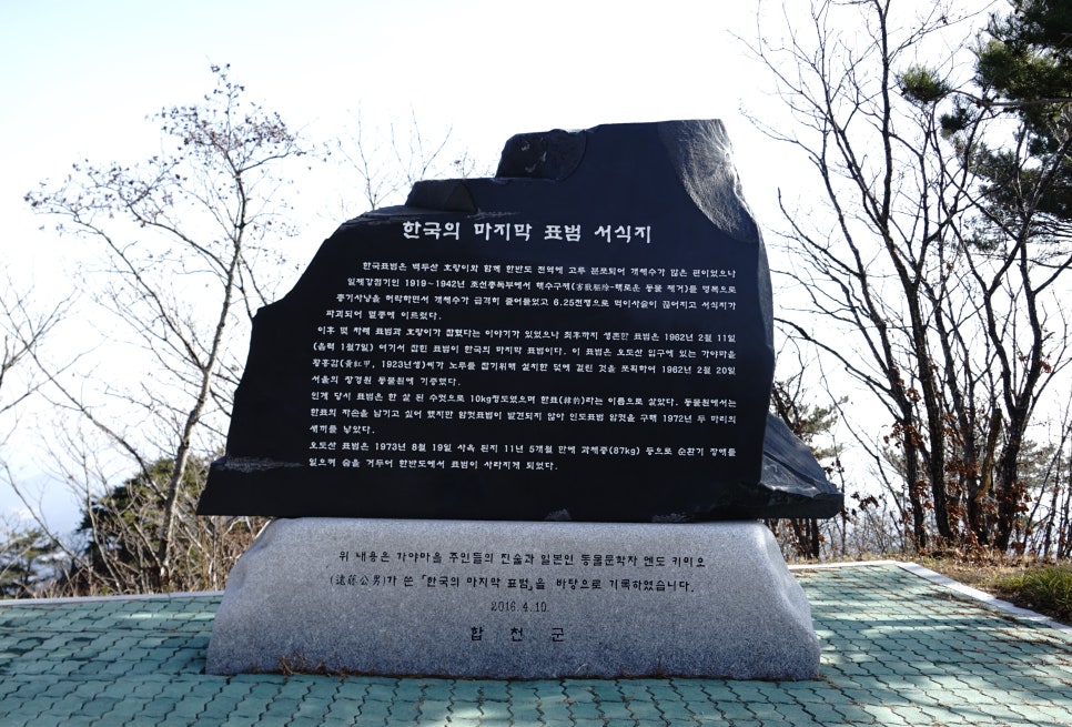 오도산식당 이미지