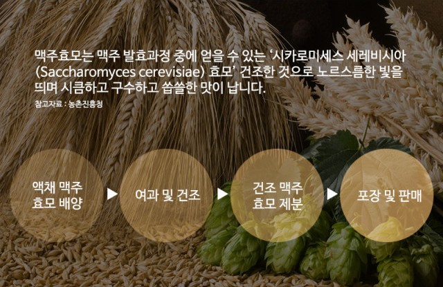 새마을유통 이미지