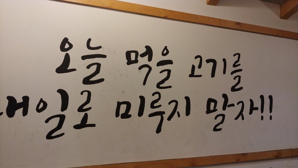 육선생 이미지