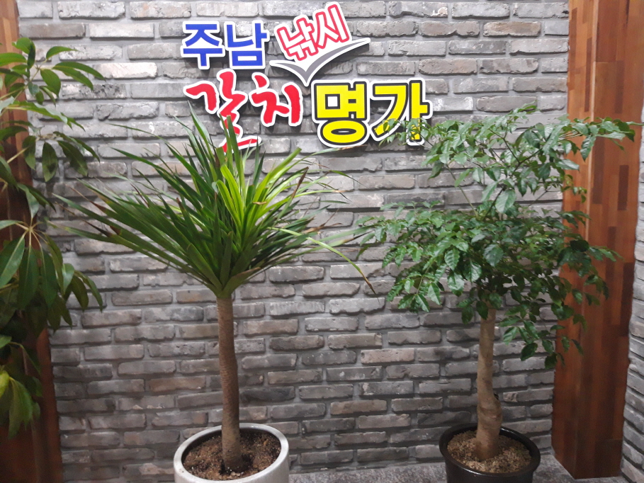 주남낚시 갈치명가 이미지