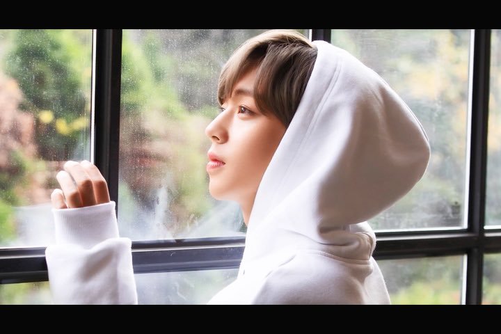 원시즌 이미지