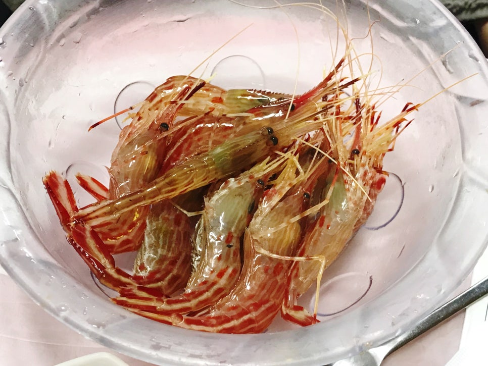 황금포장마차 이미지