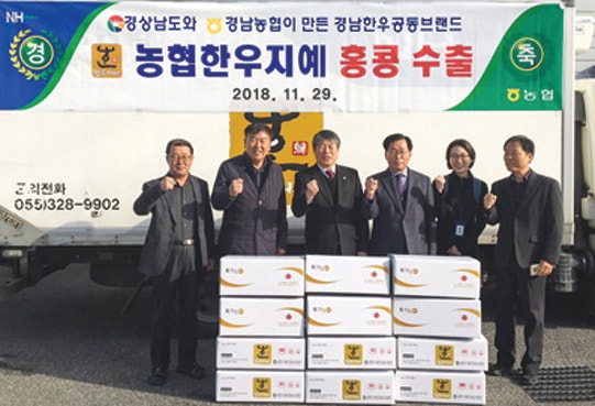 농협한우지예 조합공동사업법인 이미지
