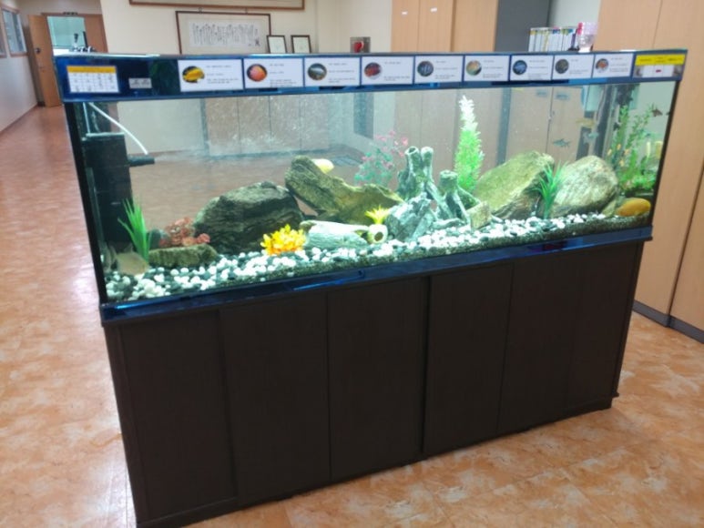 제일윈텍(주) 이미지