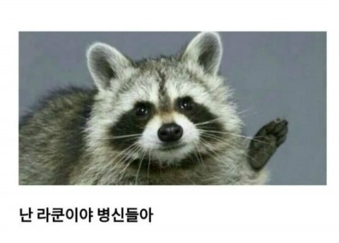 파트라왁싱 이미지