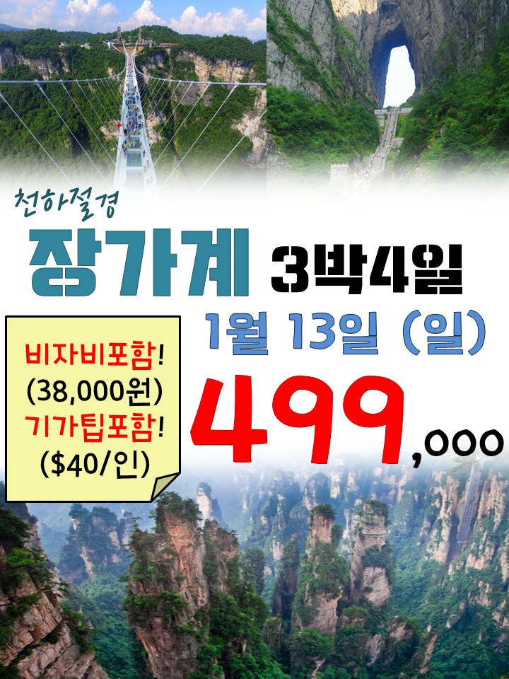 비자비 이미지