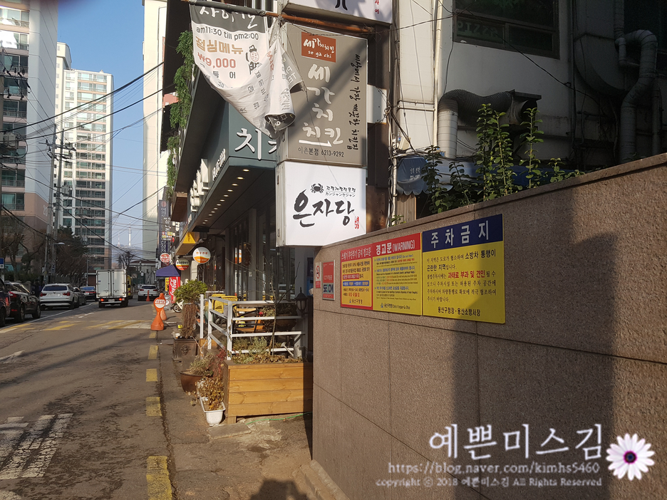 은자당 이미지
