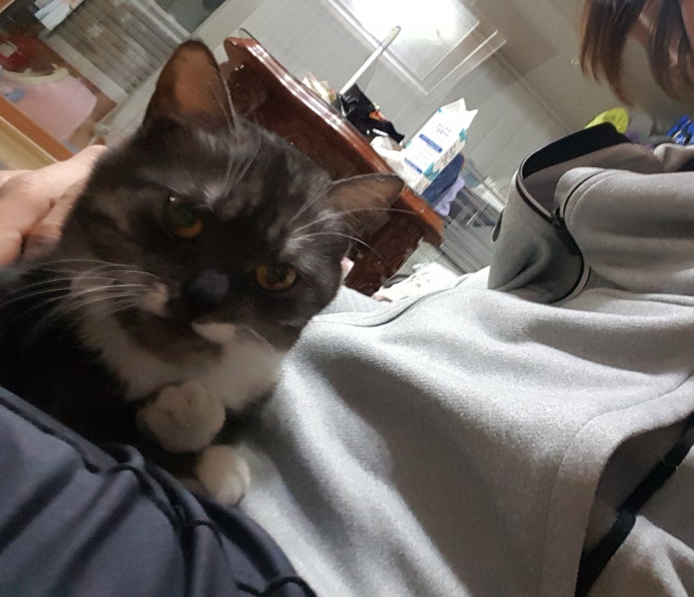 더데코박스 이미지