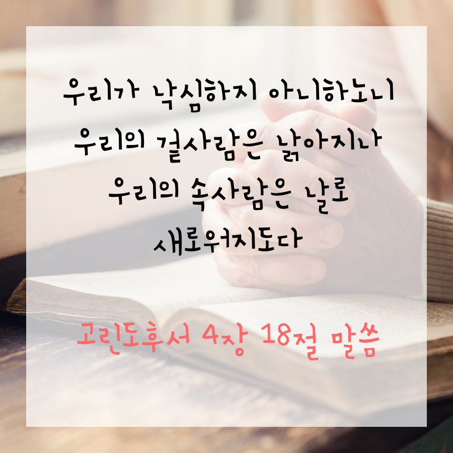 엘앤비 이미지