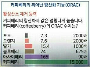문화커피 이미지