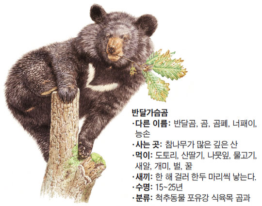 겨울잠 이미지