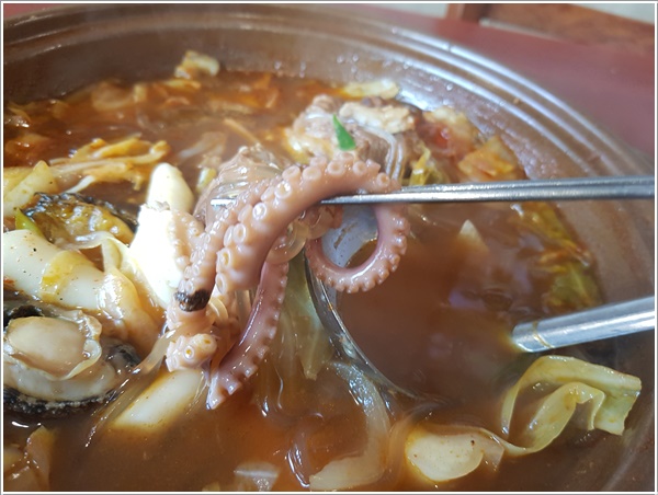 돈낙지 이미지