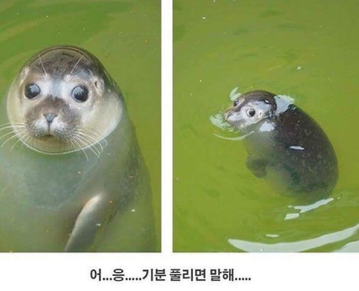 마리스튜디오 이미지
