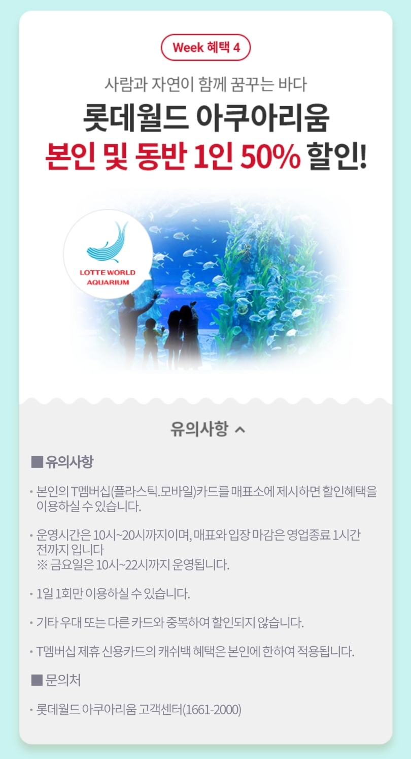 요거데이 이미지