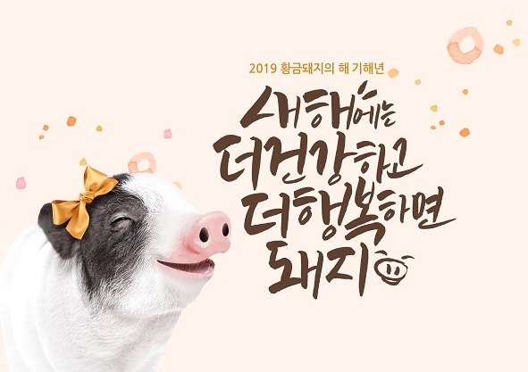 살롱코이 이미지