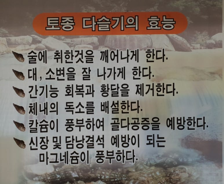 동강다슬기마을 이미지