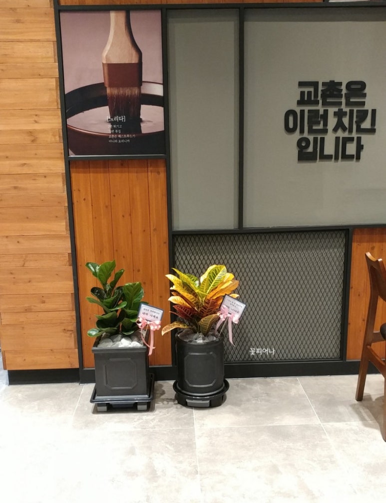 교촌치킨 다산신도시1호점 이미지