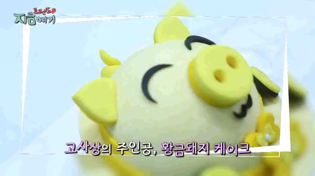 코니핑크 이미지