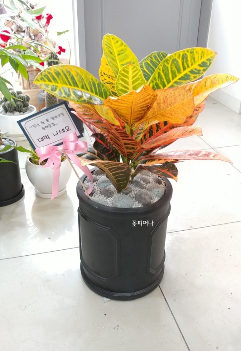교촌치킨 다산신도시1호점 이미지