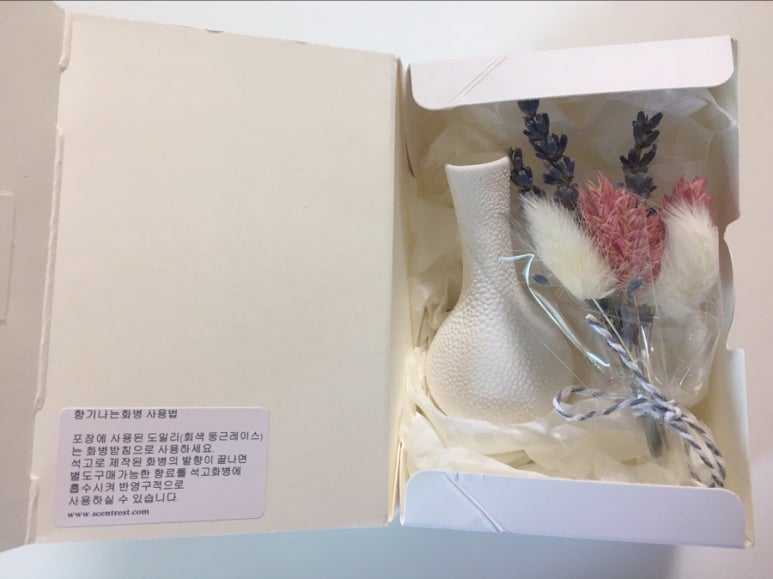 센트레스트 이미지