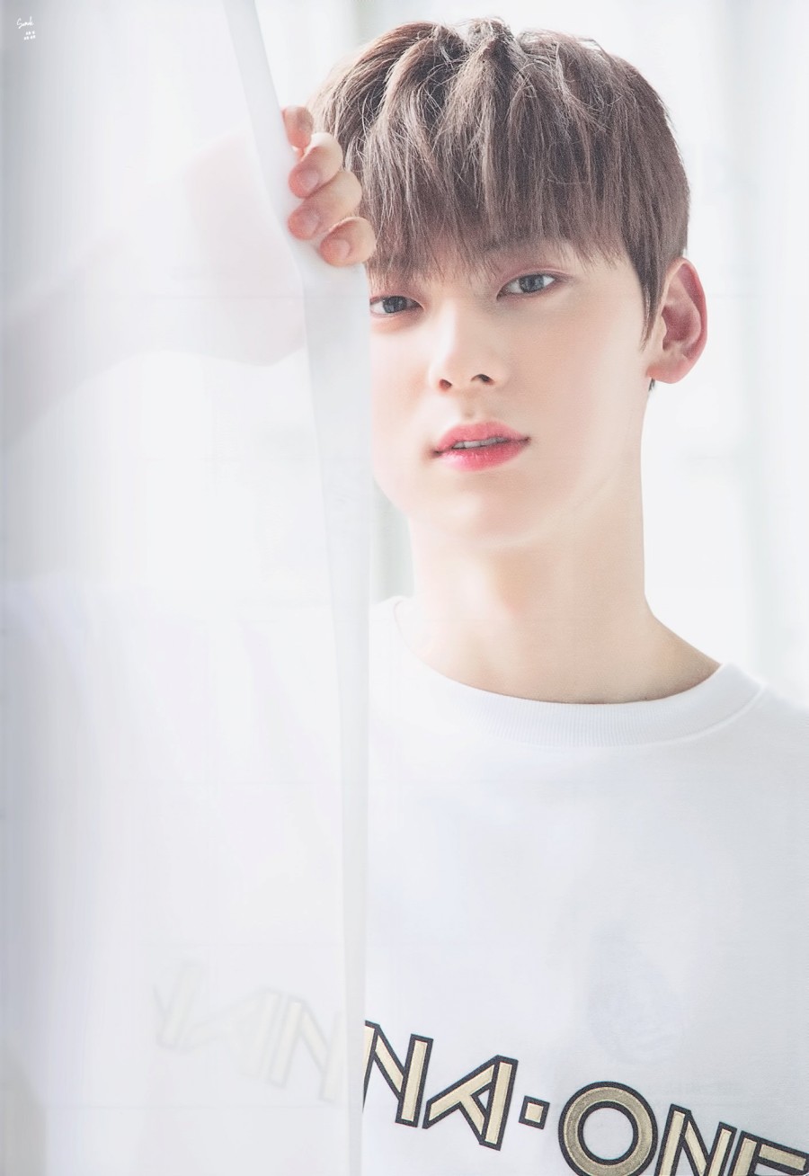 원시즌 이미지