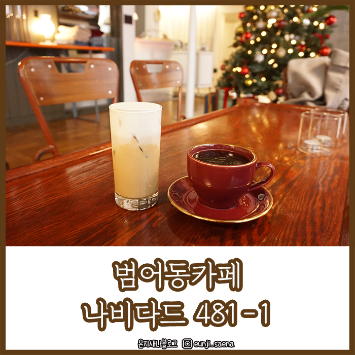 나비다드481-1(NAVIDAD481-1) 이미지