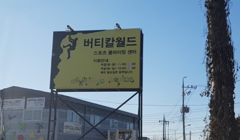 버티칼월드 이미지