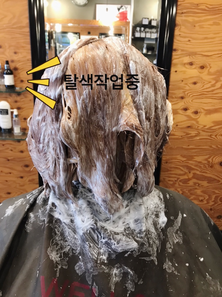 안헤어 이미지