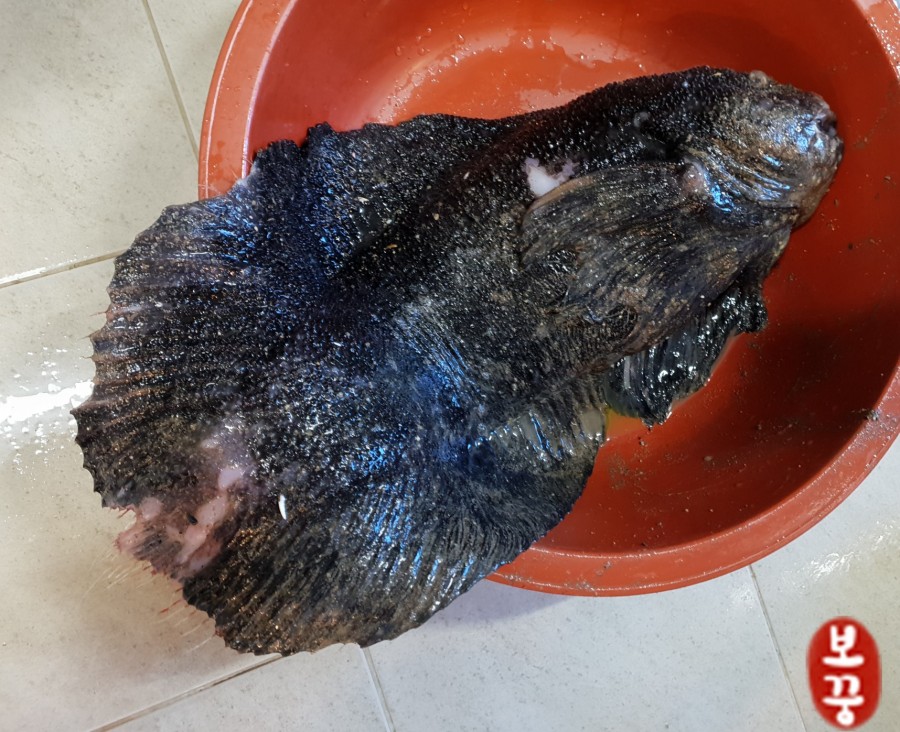 보리수수산식당 이미지