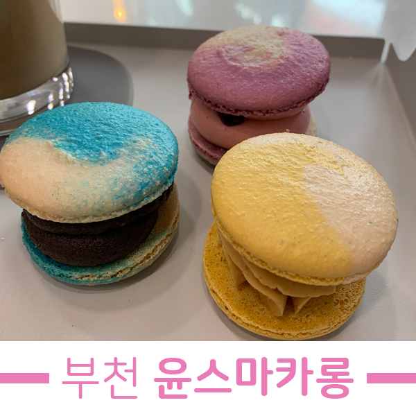 윤스마카롱 이미지