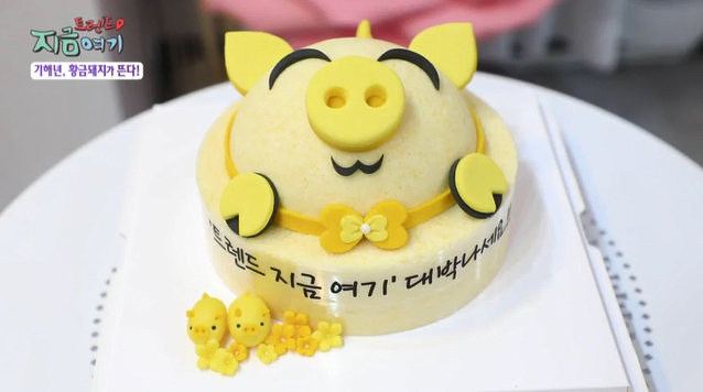 코니핑크 이미지