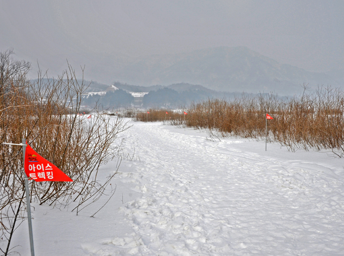 해동와송 이미지