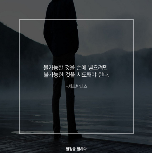 팀타이거짐1 이미지