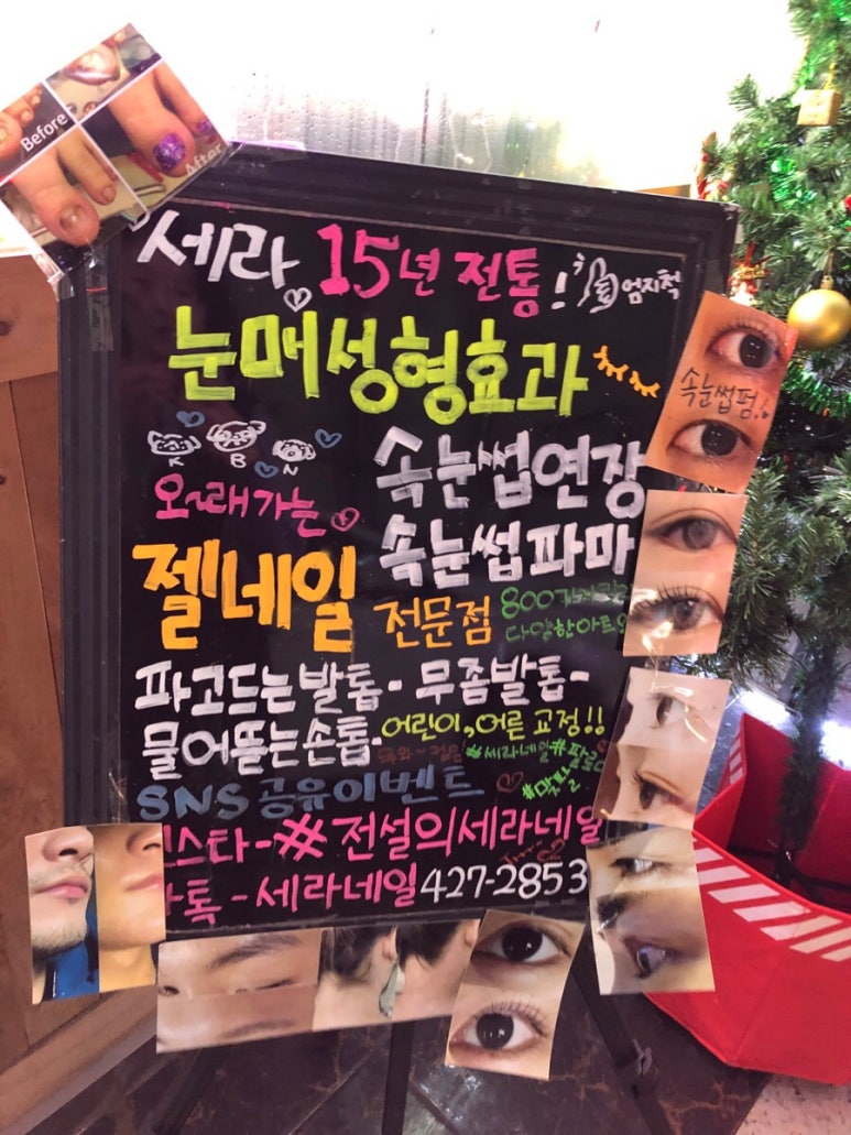 네일세라 이미지