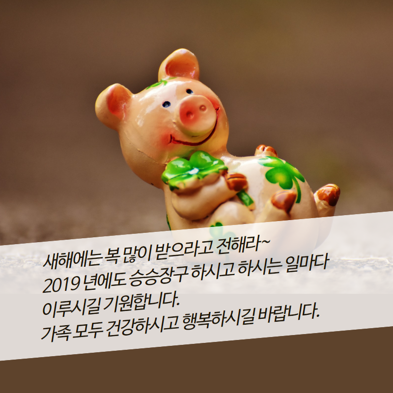 늘행복하면돼지 이미지