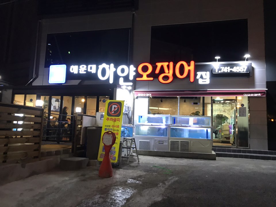하얀오징어 이미지