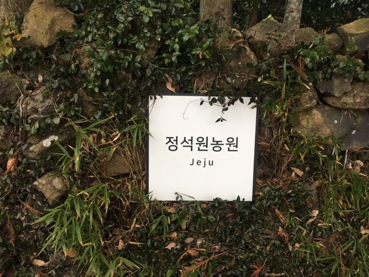 돌담체험농장 이미지