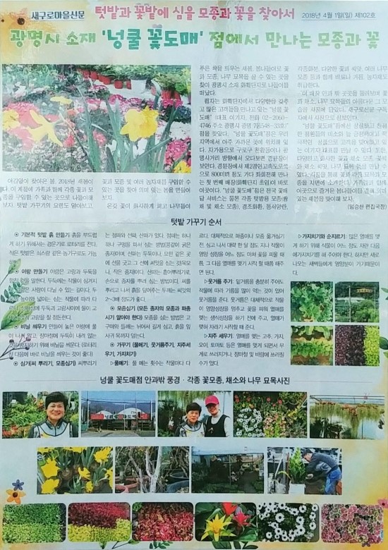 넝쿨에너지 이미지