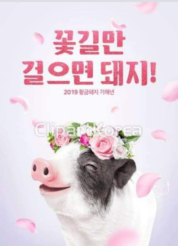 황금돼지 이미지