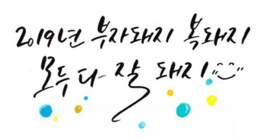 황금복돼지 이미지