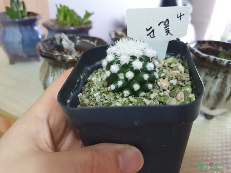 눈꽃인테리어 이미지