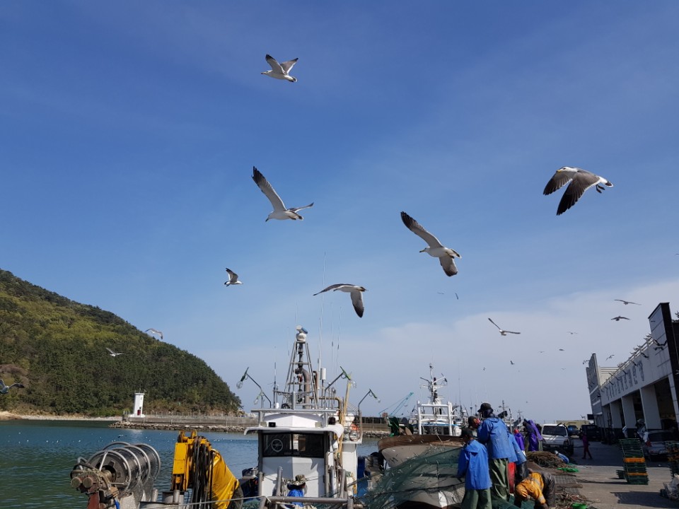 거제도젓갈 이미지