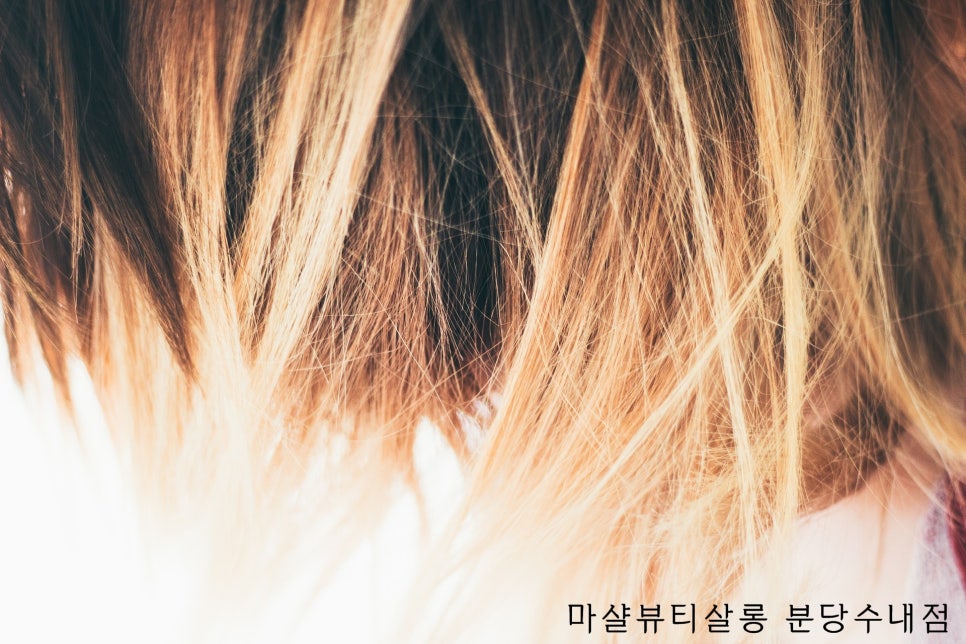 마샬헤어샵 이미지