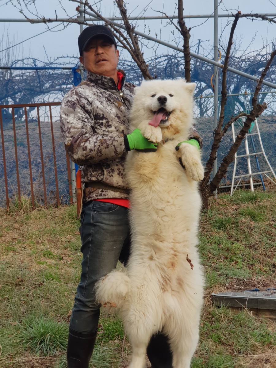 여름애팜 이미지