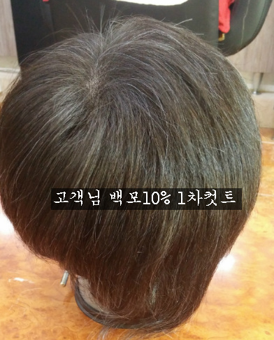 태경가발 이미지
