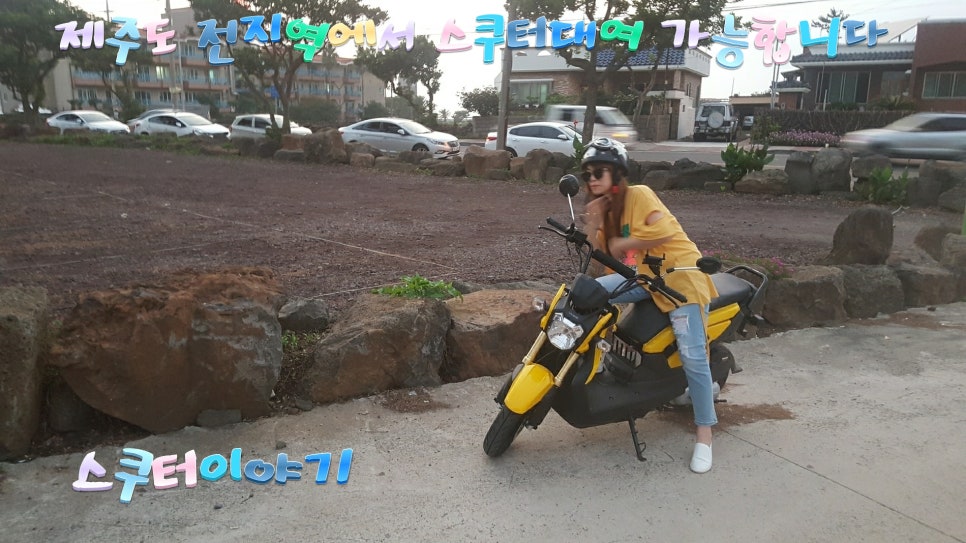 스쿠터꽃 이미지